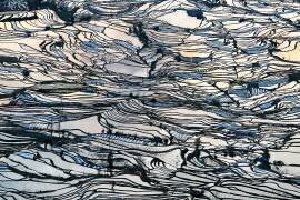 Earth Carpet (George Doupas) - Muzeo.com