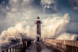 Éléments 3 (Marco Faria) - Muzeo.com