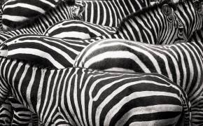 Ensemble (Roelof de Hoog) - Muzeo.com