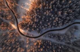 First light (Ales Krivec) - Muzeo.com