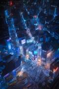 Flying Shibuya (Javier de la Torre) - Muzeo.com