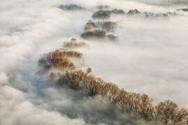 Foggy valley (Fiorenzo Carozzi) - Muzeo.com