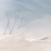 Fragile (Jacqueline van Bijnen) - Muzeo.com