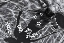 Frangipanier (Gloria Salgado Gispert) - Muzeo.com