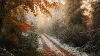 Frosty Fall (Vincent Croce) - Muzeo.com