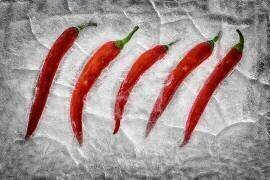 Frozen fire (Secundino Losada) - Muzeo.com