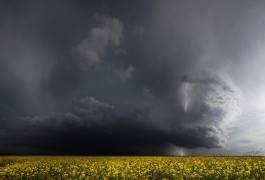 Gewitterfront (Nicolas Schumacher) - Muzeo.com