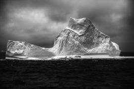 Giant (Erhard Bewernick) - Muzeo.com