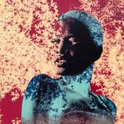 Glaze in the shadow (Olivia Gozzano) - Muzeo.com