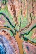 God's Palette (John Fan) - Muzeo.com
