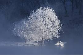 Greetings (UU) - Muzeo.com