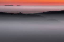 Homeland (Dragisa Petrovic) - Muzeo.com