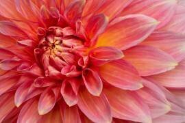 Inner Flame (Richard Urbanski) - Muzeo.com