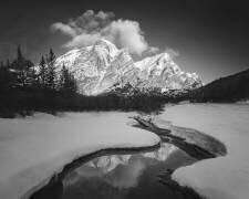 Kidd Montagne (Leah Xu) - Muzeo.com