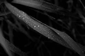 L1032940 (Kouzou Nakano) - Muzeo.com