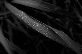 L1032940 (Kouzou Nakano) - Muzeo.com