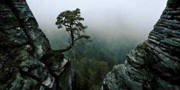 /\\-l /\\ (Andreas Schott) - Muzeo.com