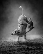 Dernière seconde (Frank Ma) - Muzeo.com