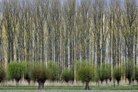 Layers (Henk van Maastricht) - Muzeo.com