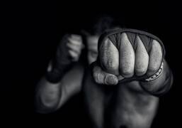 Left wing (Adrian Vrican) - Muzeo.com