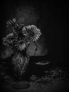 Les fissures (Delphine Margau) - Muzeo.com