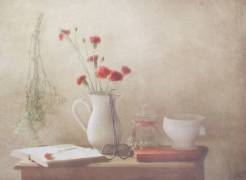 Les fleurs rouges (Delphine Devos) - Muzeo.com