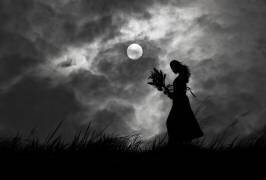 Liebestraum (Hengki Lee) - Muzeo.com