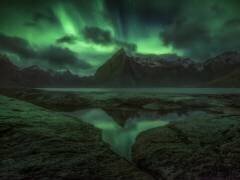 Like Daggers (Ryan Dyar) - Muzeo.com