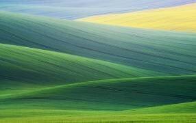 Lines (Ales Komovec) - Muzeo.com