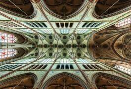 Looking Up (Gerard Jonkman) - Muzeo.com