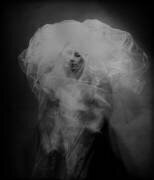 Méduse (Yaroslav Vasiliev-Apostol) - Muzeo.com