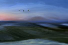 Migrants (Bjorn Emanuelson) - Muzeo.com