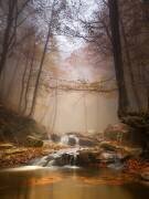 Mistyc mist (Ramon Menendez Covelo) - Muzeo.com