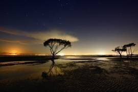 Moonrise (Mel Brackstone) - Muzeo.com