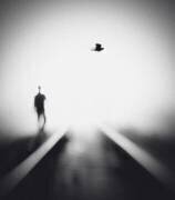 Nocturne (Hengki Lee) - Muzeo.com