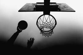 n/t (Paulo Medeiros) - Muzeo.com