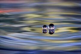 oO (Sugeng Sutanto) - Muzeo.com