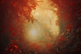 Personal Journey (Ildiko Neer) - Muzeo.com