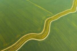 Prekmurje (Jure Kravanja) - Muzeo.com