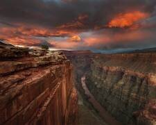 Redemption (Chris Moore) - Muzeo.com