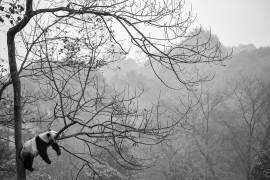 Relax (Alessandro Catta) - Muzeo.com