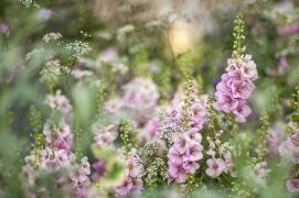 Romance (Jacky Parker) - Muzeo.com