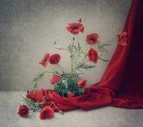 Rouge (Dimitar Lazarov) - Muzeo.com