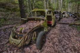 Rusty Beetle (Knut Saglien) - Muzeo.com