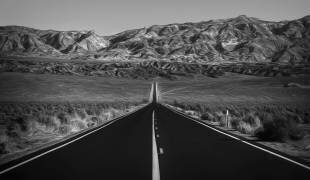 Ruta (Roxana Labagnara) - Muzeo.com