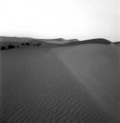 Sahara (Paul Almasy) - Muzeo.com