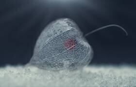 Sans titre (Nikki Georgieva V) - Muzeo.com