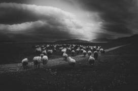 Sans titre (Todor Tanev) - Muzeo.com