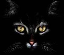 Sans titre (Antonio Grambone) - Muzeo.com