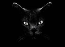 Sans titre (Antonio Grambone) - Muzeo.com